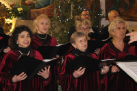 powiększ zdjęcie