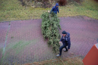 powiększ zdjęcie