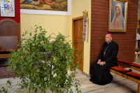 powiększ zdjęcie 