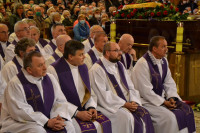 powiększ zdjęcie 