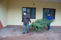 powiększ zdjęcie 