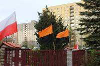 powiększ zdjęcie