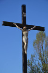 powiększ zdjęcie