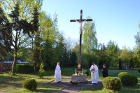 powiększ zdjęcie