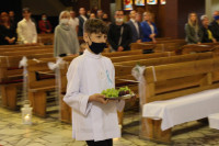powiększ zdjęcie 
