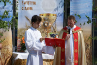 powiększ zdjęcie 