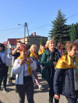 powiększ zdjęcie 