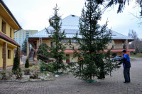 powiększ zdjęcie 