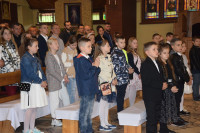 powiększ zdjęcie 