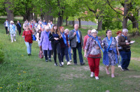 powiększ zdjęcie 