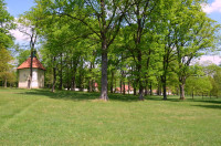 powiększ zdjęcie 