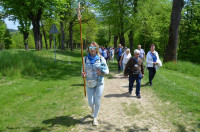 powiększ zdjęcie 