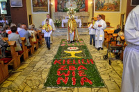 powiększ zdjęcie 