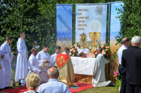 powiększ zdjęcie 