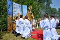 powiększ zdjęcie 