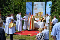 powiększ zdjęcie 