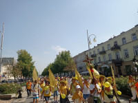 powiększ zdjęcie 