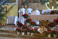 powiększ zdjęcie 