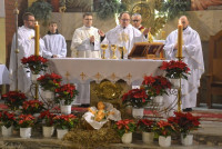 powiększ zdjęcie 