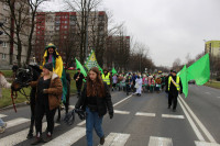 powiększ zdjęcie 