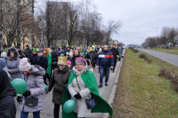 powiększ zdjęcie 