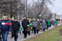 powiększ zdjęcie 