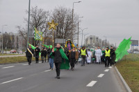 powiększ zdjęcie 