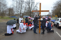 powiększ zdjęcie 