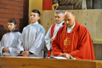powiększ zdjęcie 