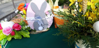 powiększ zdjęcie 