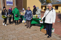 powiększ zdjęcie 
