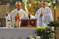 powiększ zdjęcie 