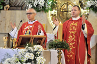 powiększ zdjęcie 