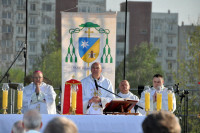 powiększ zdjęcie 