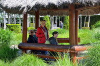 powiększ zdjęcie 