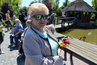 powiększ zdjęcie 