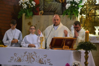 powiększ zdjęcie 
