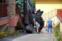 powiększ zdjęcie 
