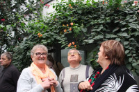 powiększ zdjęcie 