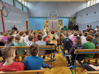 powiększ zdjęcie 