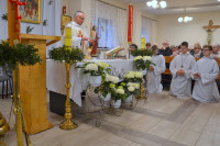 powiększ zdjęcie 