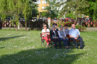 powiększ zdjęcie 