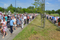 powiększ zdjęcie