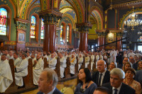 powiększ zdjęcie
