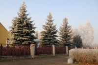 powiększ zdjęcie 