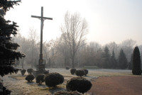 powiększ zdjęcie 