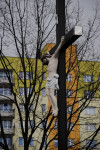 powiększ zdjęcie 