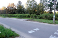 powiększ zdjęcie