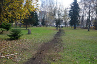 powiększ zdjęcie 