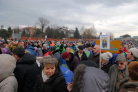 powiększ zdjęcie 